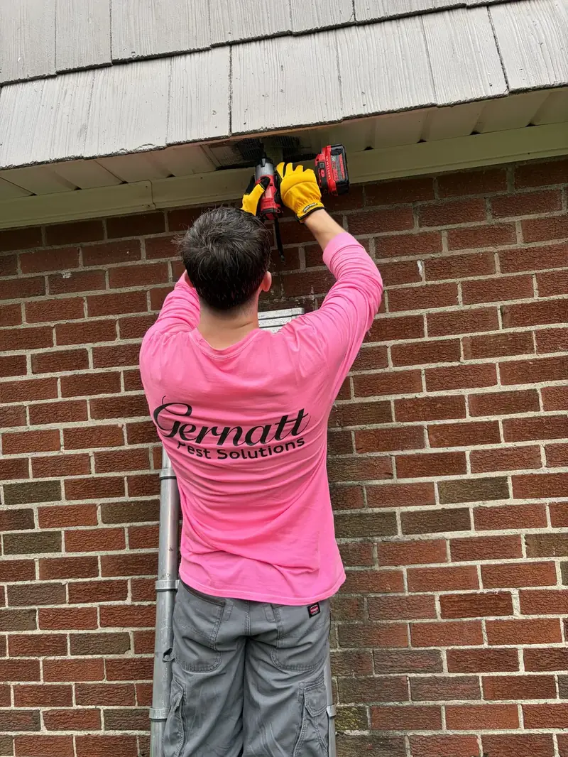 Technician working under the eave of a brick house during exclusion work