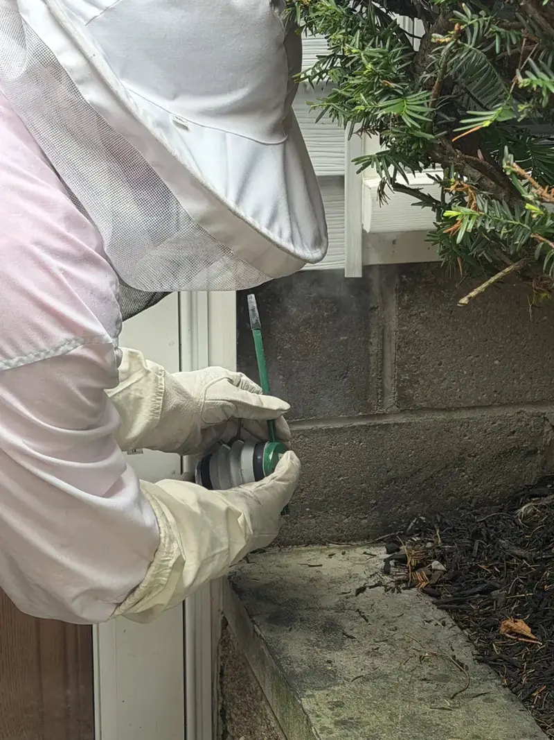 Technician in a bee suit treating a nest at a foundation